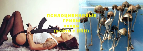 a pvp Алексеевка