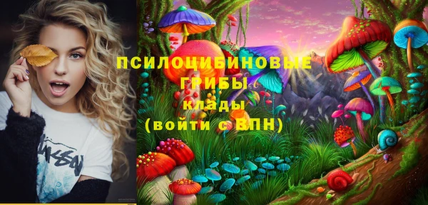 a pvp Алексеевка
