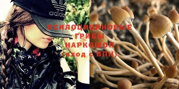 a pvp Алексеевка